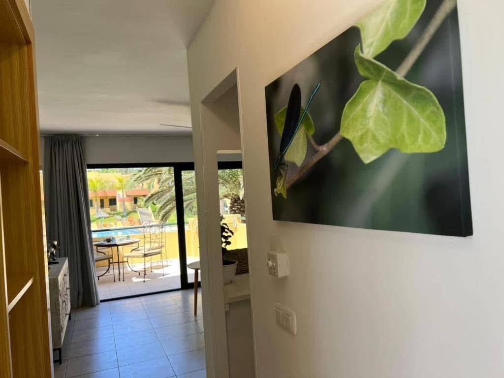 Atlantic Garden Andrew Apartments Pool Air Conditioning Corralejo Exteriör bild